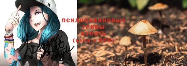 spice Беломорск