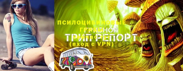 spice Беломорск