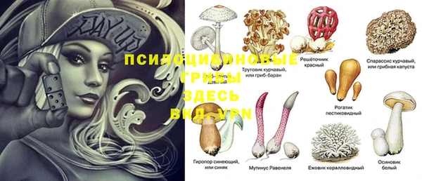 амф Сосновоборск